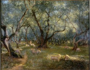Olives of St Rocco